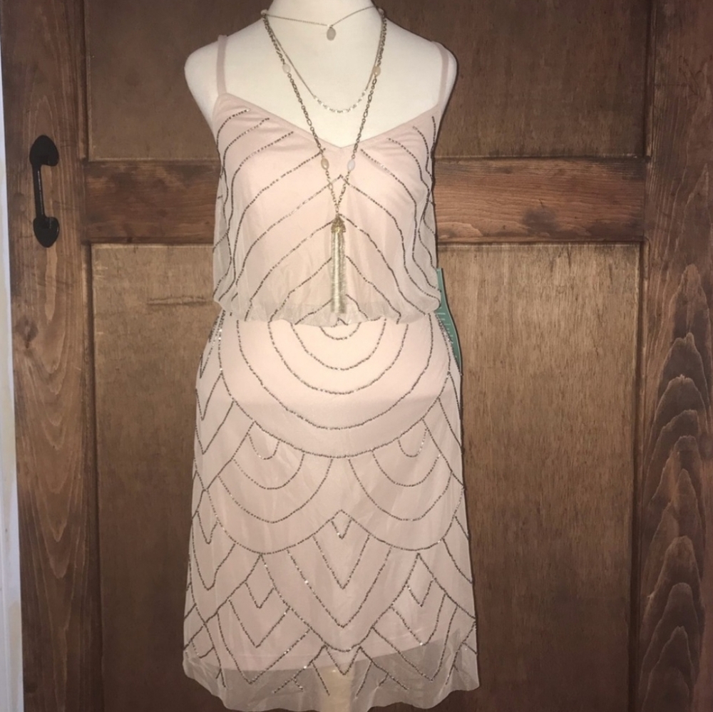 Simply Liliana light pink and grey beaded dress